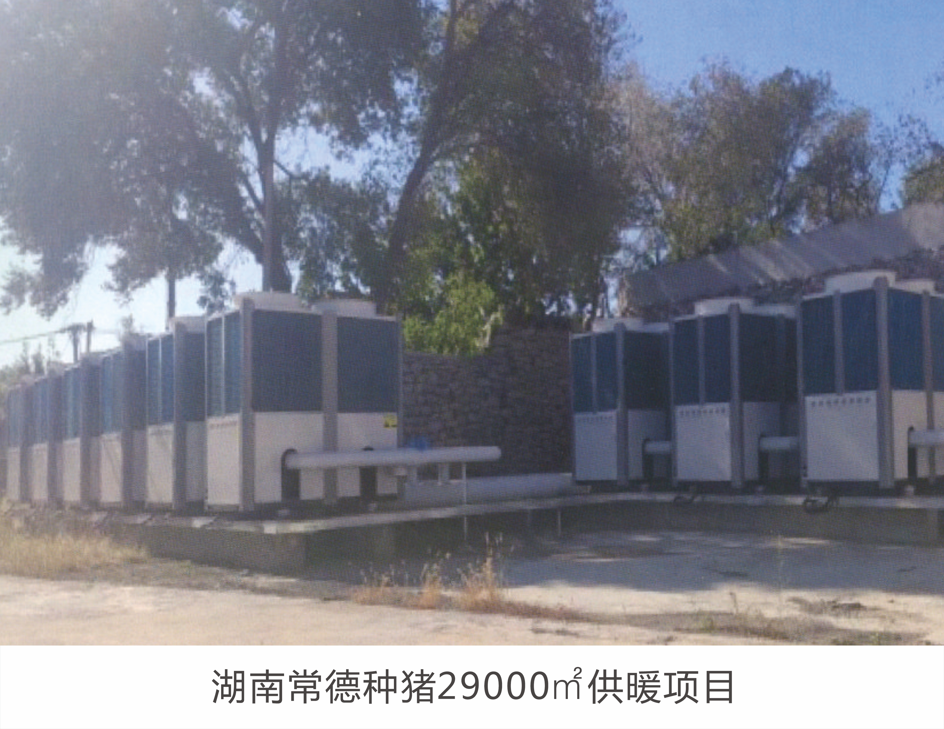 湖南常德种猪29000平供暖项目